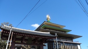 Beautiful blue sky and temple roofs are my favourite things!
